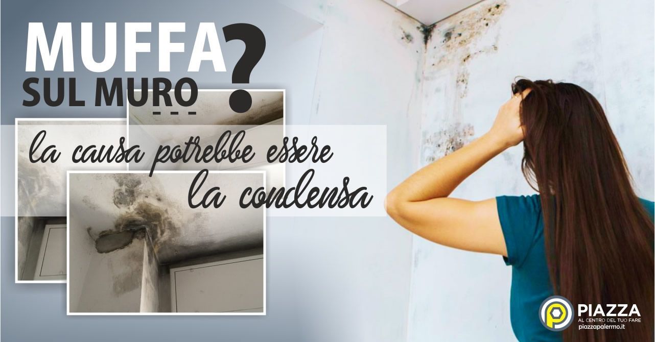 Sapevi che l'umiditā da condensa spesso č la causa della muffa nelle pareti?